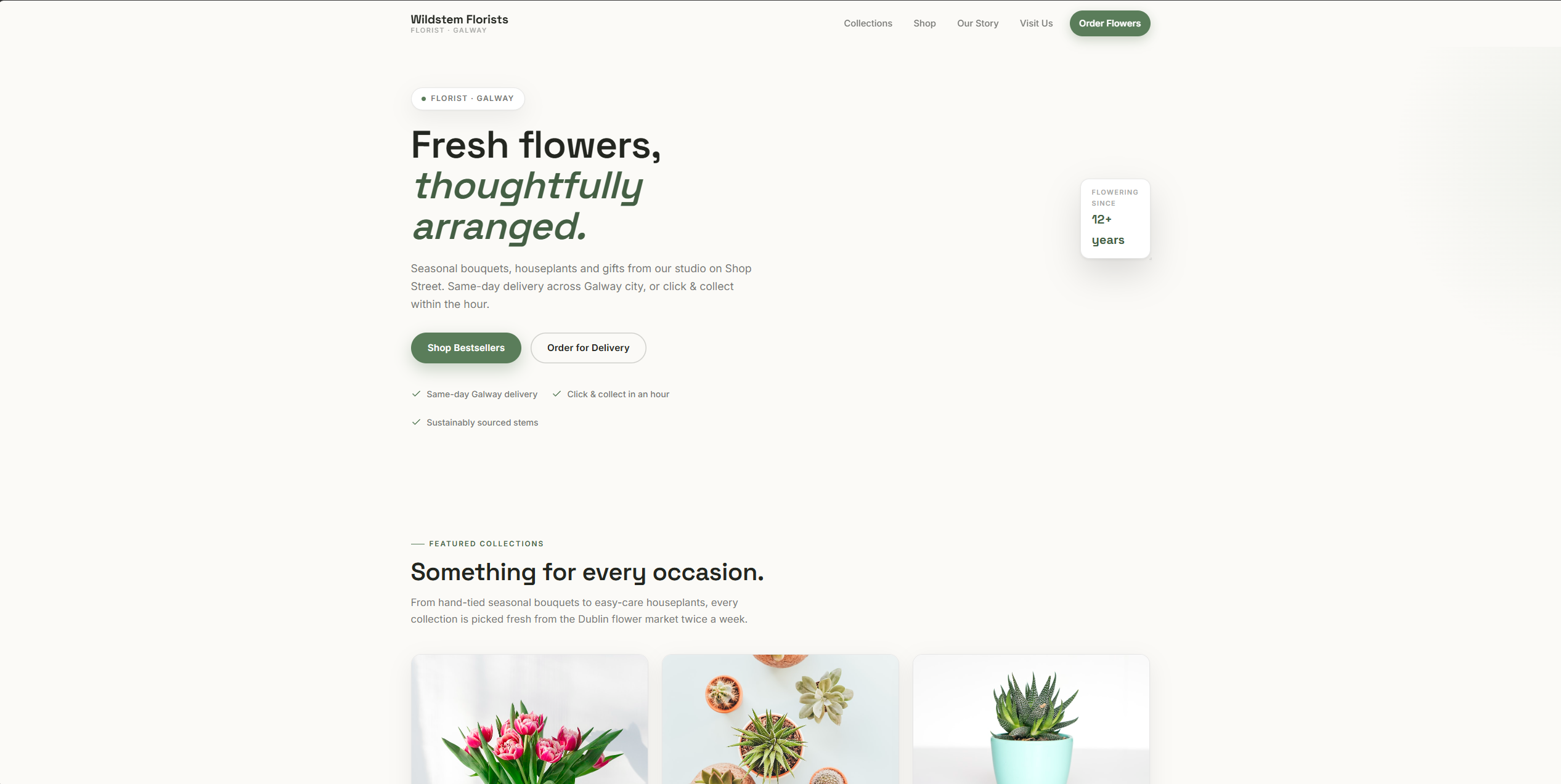Example shopfront website built with WebSnug